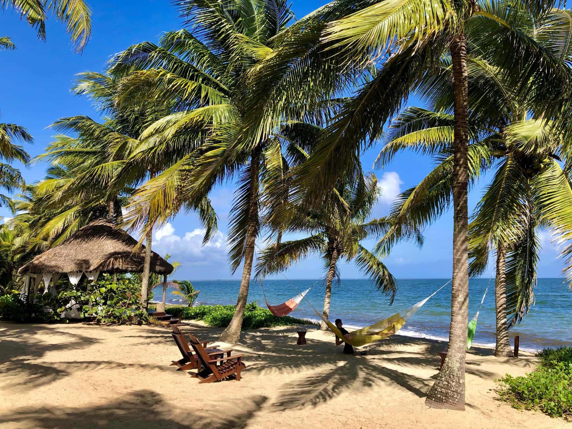 hopkins beach at hamanasi resort